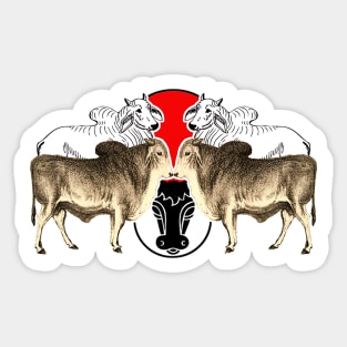 Zebu breed of cattle Sticker